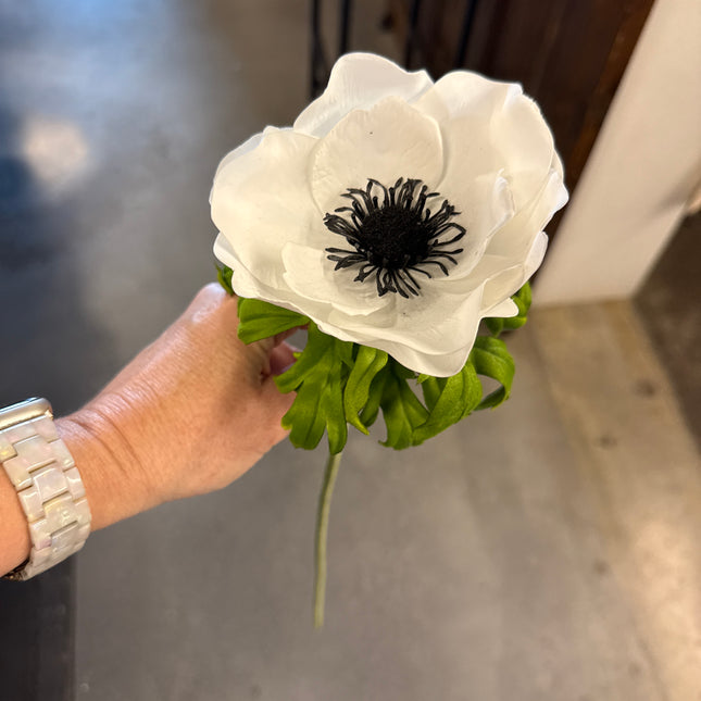 22" Poppy Anemone