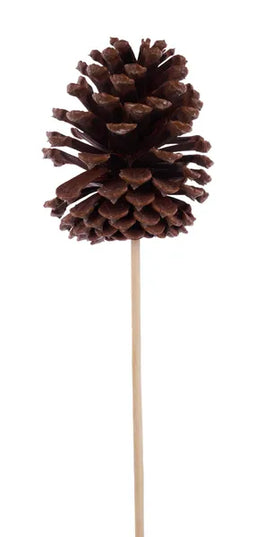 5"-6.25"L Pinecone W/10"L Pick