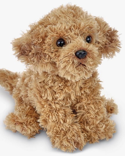 Doodles the Labradoodle image 0