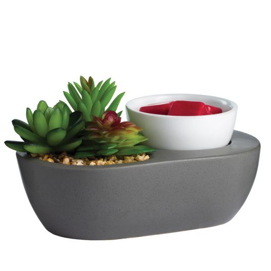 Succulent Wax Warmer image 0