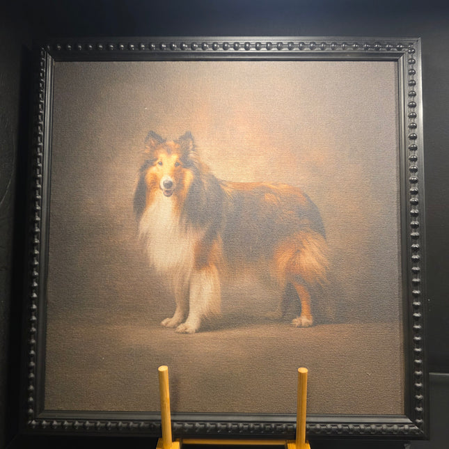 Collie 14x14 Black Bead Insert College Art