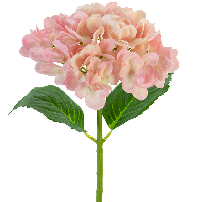 Mophead Hydrangea Spray Pink