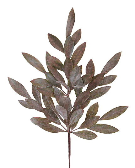 23.5" Brushed Bay Leaf Spray