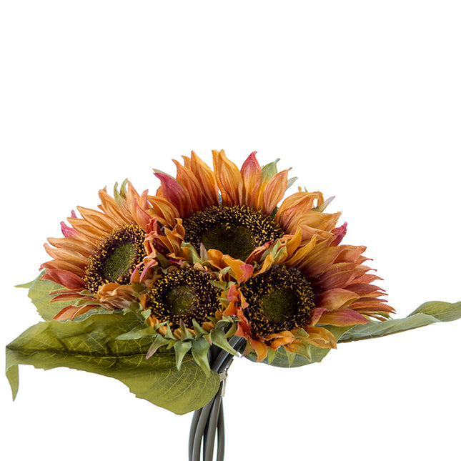 Sunflower Bundle rust