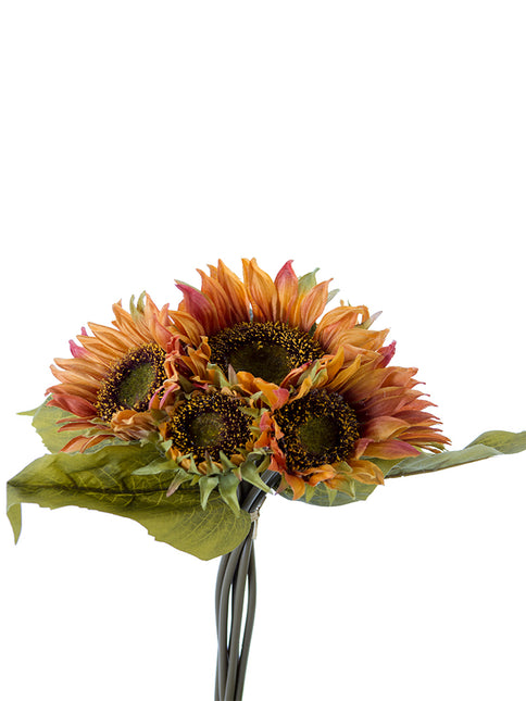 Sunflower Bundle rust