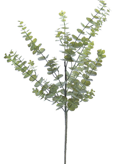 Eucalyptus Spray 44"