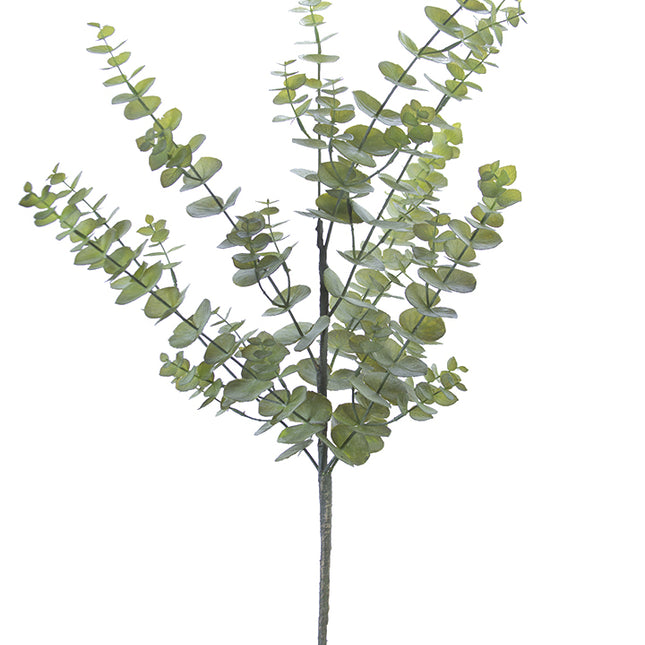 Eucalyptus Spray 44"