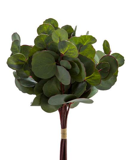 17" Silver Dollar Bundle