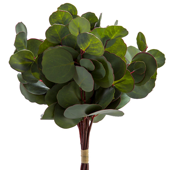 17" Silver Dollar Bundle