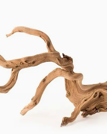 Manzanita Root