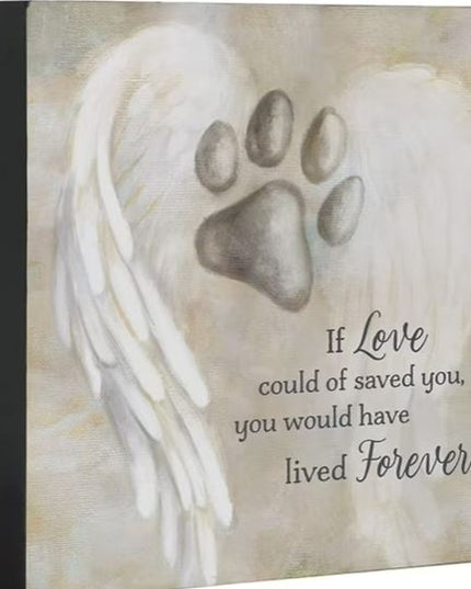 Pet Comfort Square Shelf Sitter