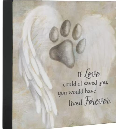 Pet Comfort Square Shelf Sitter