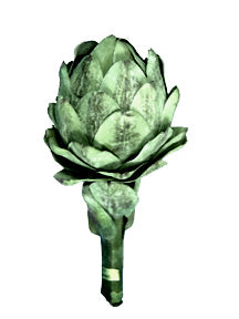 Medium Artichoke