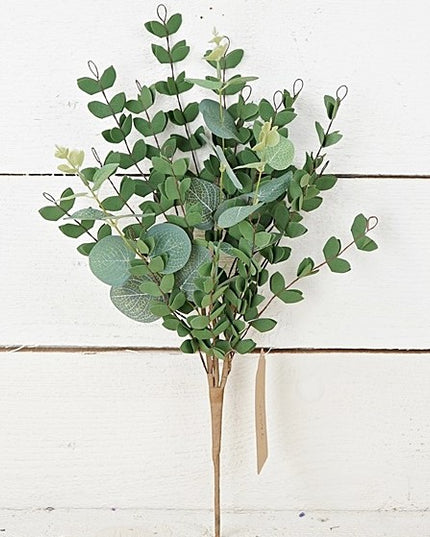 Mixed Eucalyptus Bush