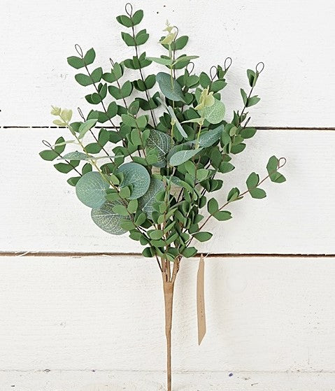 Mixed Eucalyptus Bush