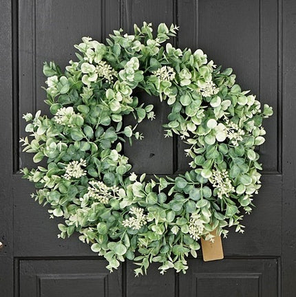 Wreath Seeded Baby Eucalyptus