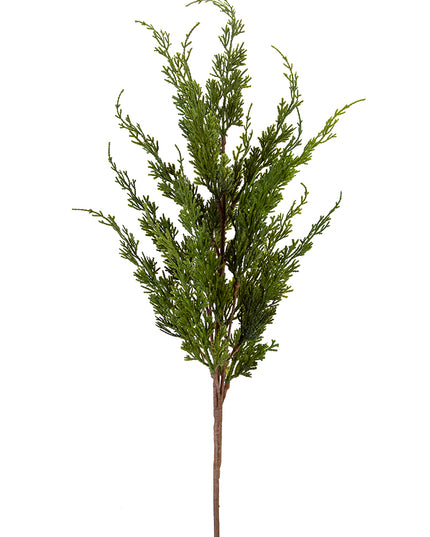35" Cedar Spray Green