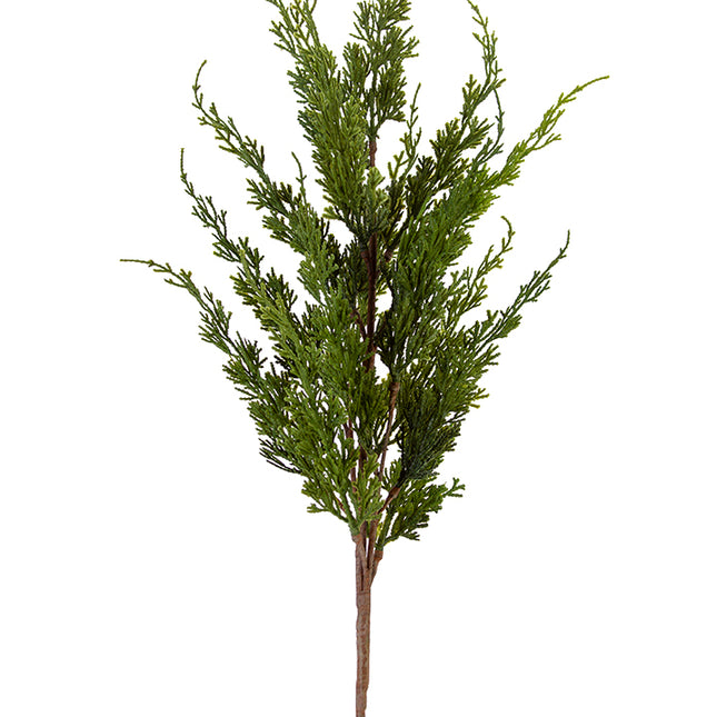 35" Cedar Spray Green