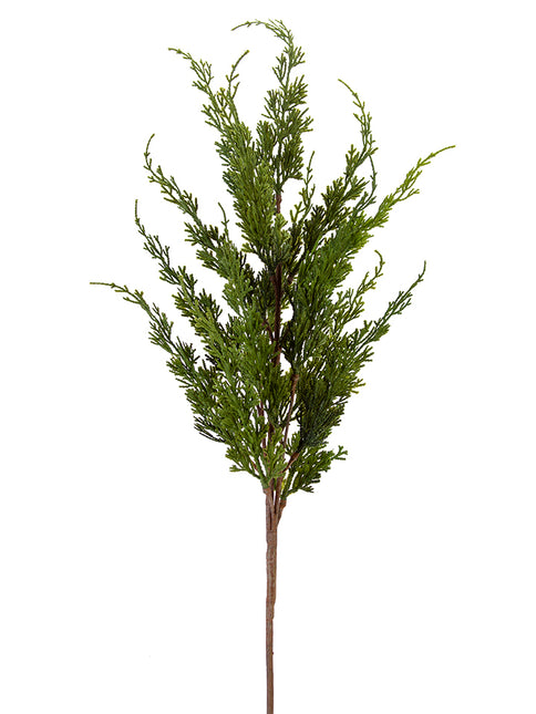 35" Cedar Spray Green
