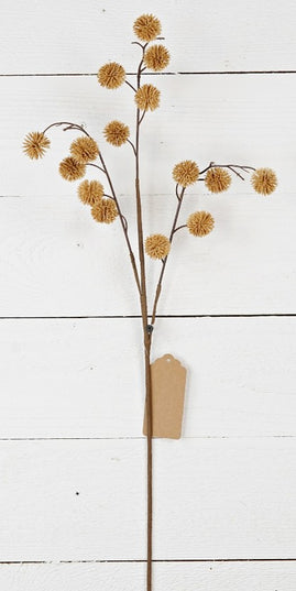 Mustard Thistle Pod Spray