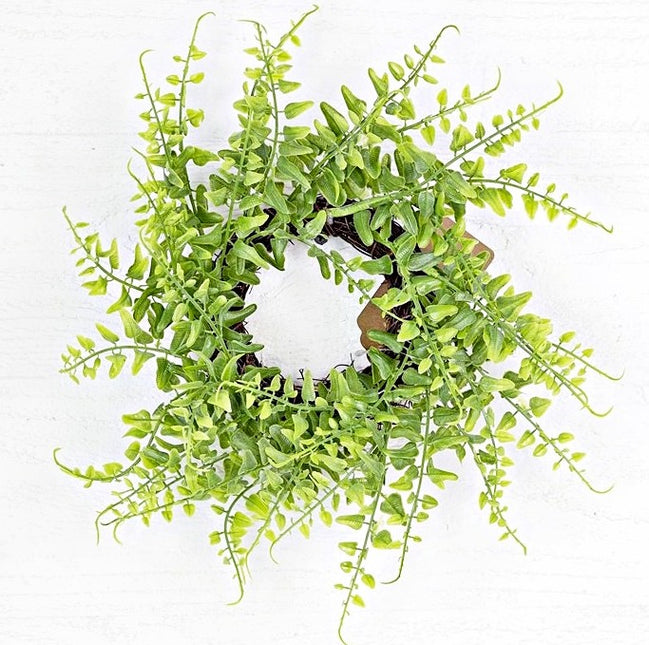 12" Fern Wreath
