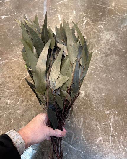 Dried Eucalyptus Bundle