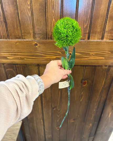 Green Trick Dianthus