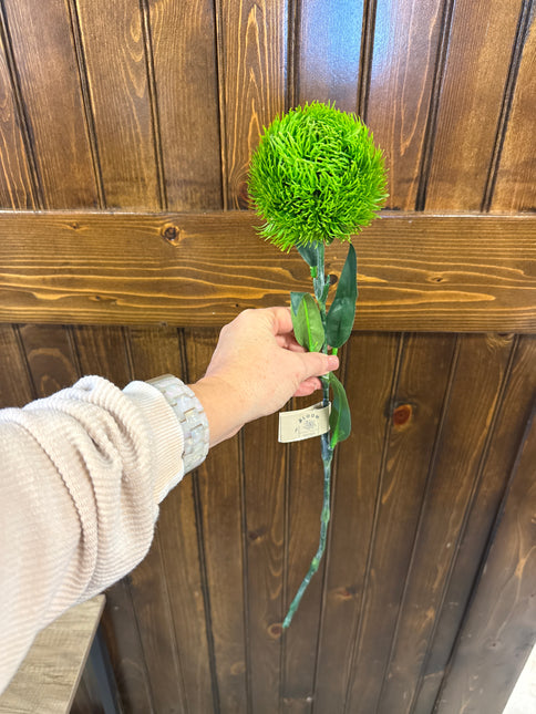 Green Trick Dianthus