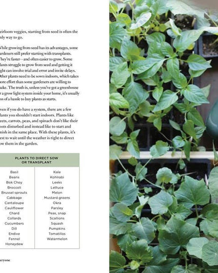Gardening for Everyone: Julia Watkins