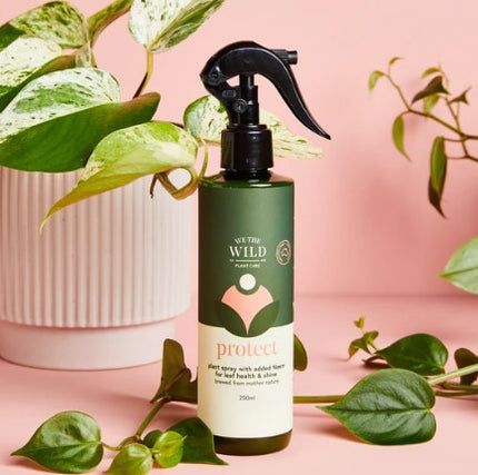 Protect with Neem Oil - We The Wild image 0