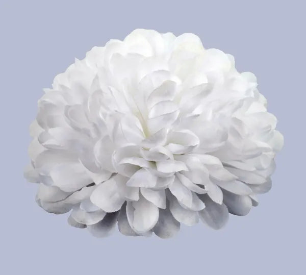 12 Pack of 5.5"Dia Mum Heads