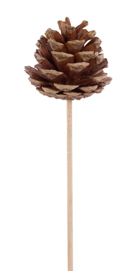 1"-1.75"L Pinecone W/6"L Pick