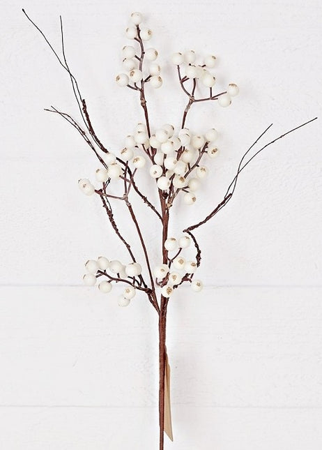 Snowberry Pick