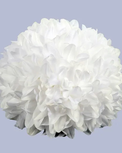 12 Pack of 7.5" Dia Mum Heads