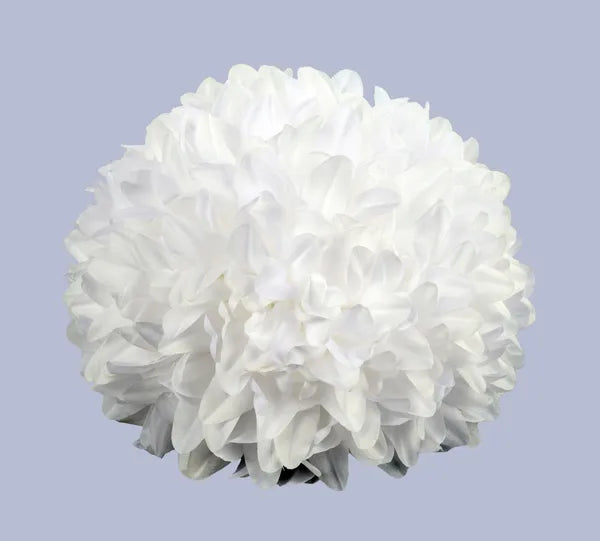 12 Pack of 7.5" Dia Mum Heads