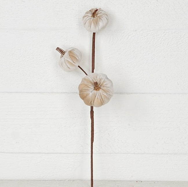 15" Velvet Pumpkin Pick Cream