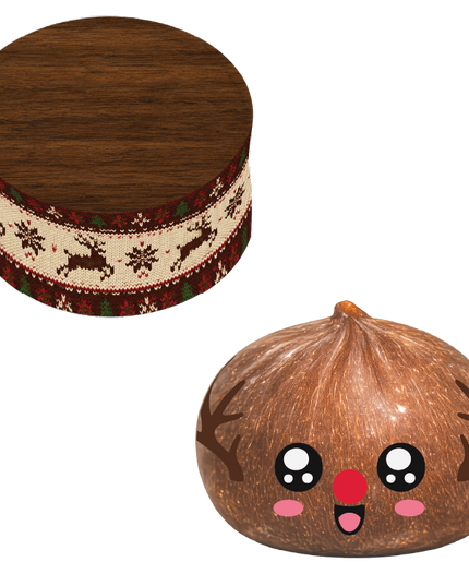 Fun Doh Christmas Dumpling Squishy Toy