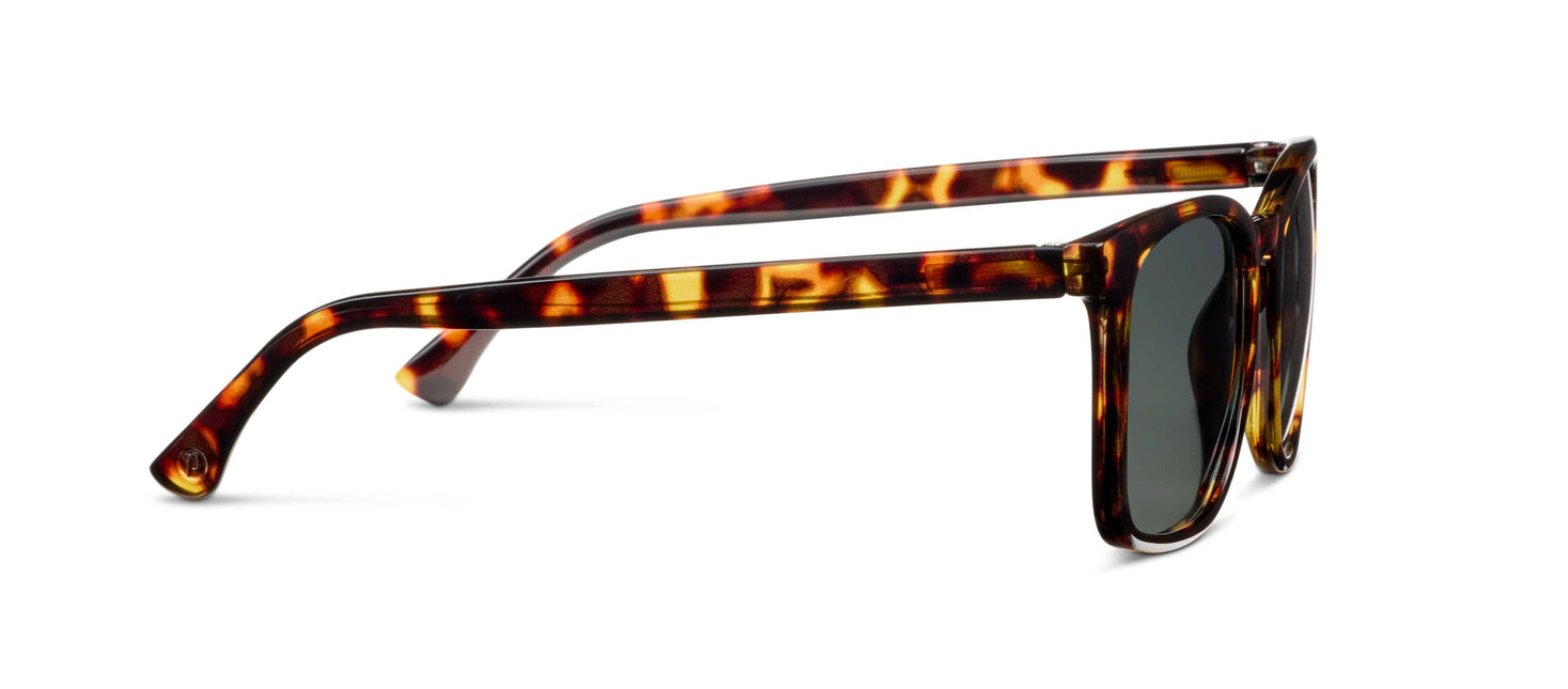 Mateo (Sunglasses) By Peepers