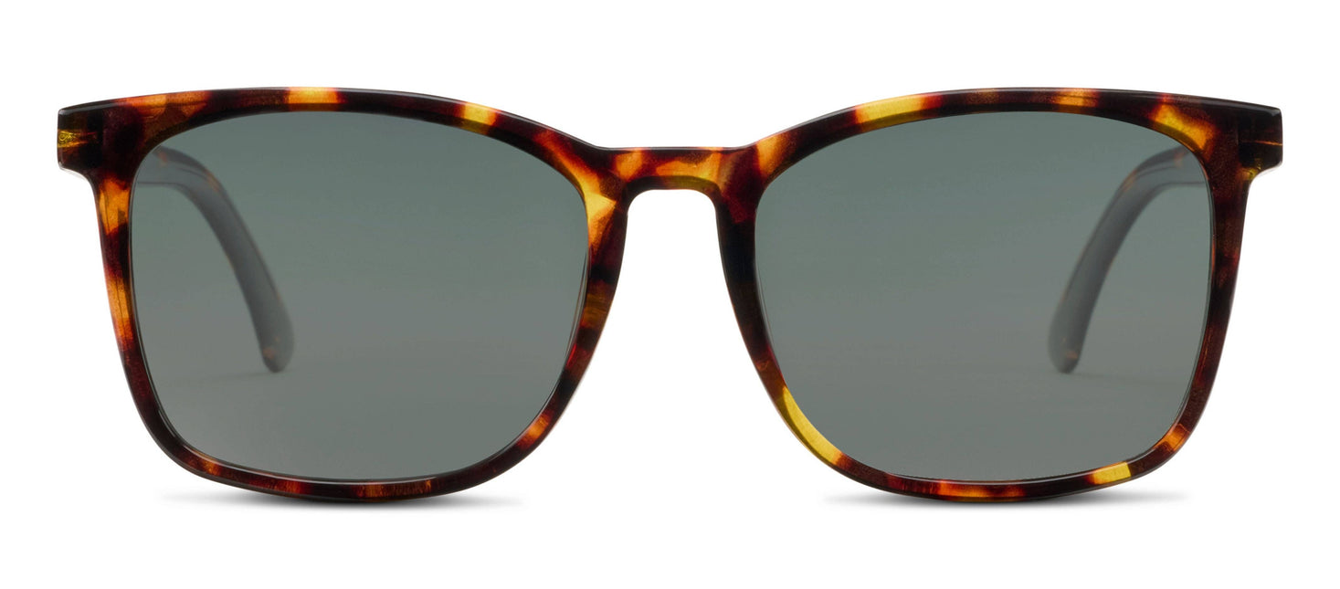 Mateo (Sunglasses) By Peepers