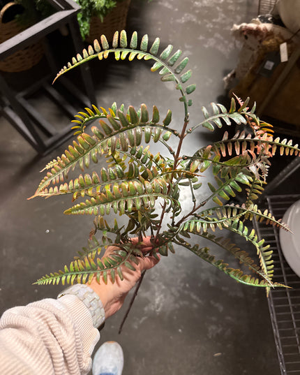 Fern Spray Green/Brown