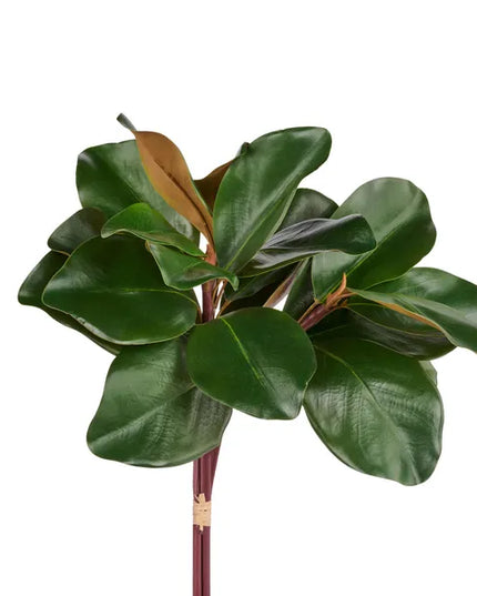 18"L Magnolia Leaf Bundle
