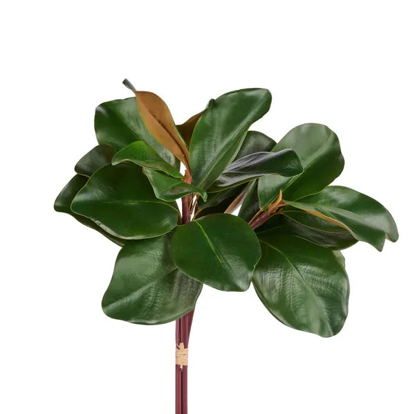 18"L Magnolia Leaf Bundle