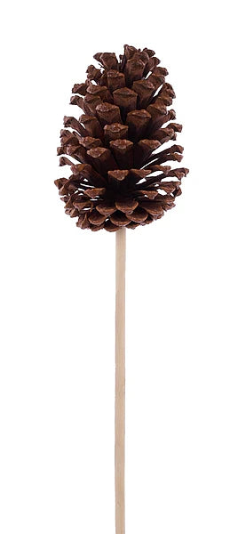 3.75"-4.5"L Pinecone W/9"L Pick
