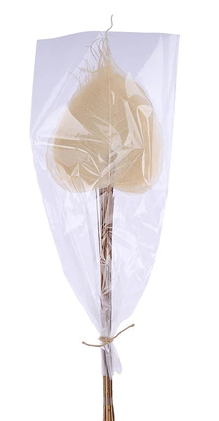 23.5"L Skeleton Pipul Leaf/Ting Bundle