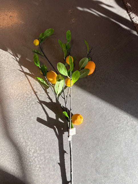 40”Lemon Branch