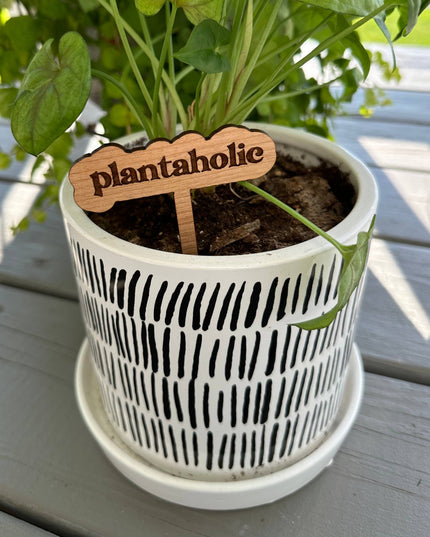 New Plant Sayings Word Bubbles Funny Plant Stakes