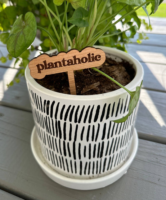 New Plant Sayings Word Bubbles Funny Plant Stakes