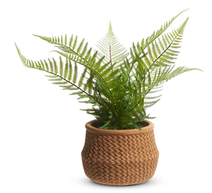 15" Potted Fern in Basket