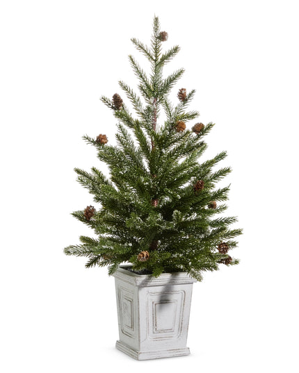 26" Pine Tree in White Container