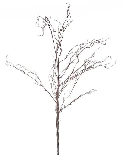 57.5"L Twig Branch W/7 Branches